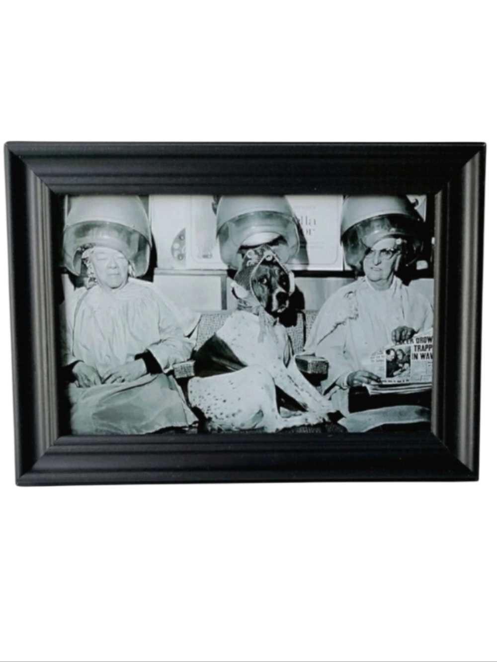 Funny Comedy Dog Beauty Salon Vintage Retro  Fun Hair Beautuful Puppy Framed Art